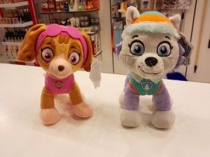 Skye eta Everest Valverde Drogeriara etorri dira.