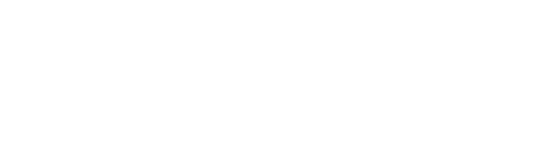 Logotipo de Bizum en blanco sobre fondo gris claro, con un símbolo Z estilizado a la izquierda de la palabra bizum en minúsculas.